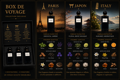 BOX DE VOYAGE
